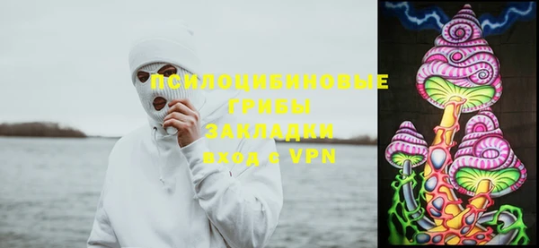 гидра Семилуки