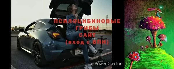 ПСИЛОЦИБИНОВЫЕ ГРИБЫ Заволжье