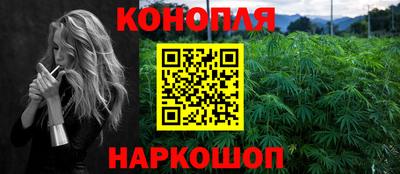 шишки Заволжье