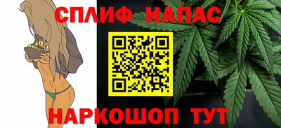 шишки Заволжье