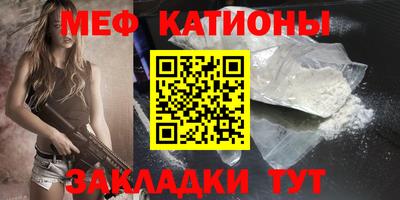 шишки Заволжье