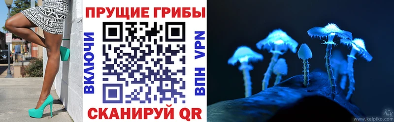 Галлюциногенные грибы ЛСД Среднеуральск