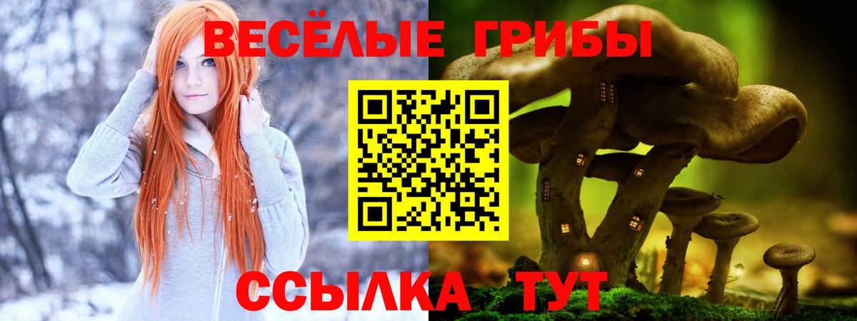 Галлюциногенные грибы MAGIC MUSHROOMS  Вход с VPN  Среднеуральск 